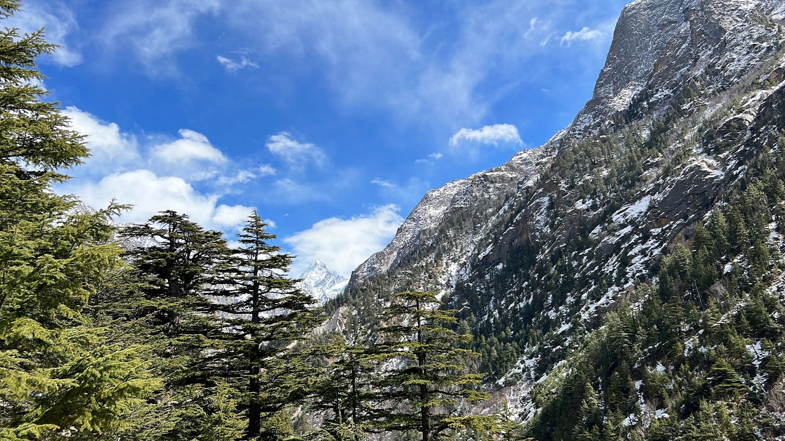 44 gangotri and ganga dam 2023.03.26 28